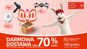 Chińscy giganci rynku e-commerce na celowniku polskiego rządu