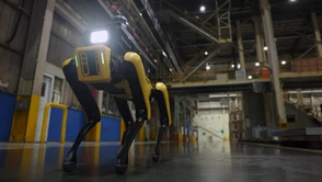 Czworonożny pies-robot Boston Dynamics rusza w tournée po Polsce