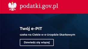 Podatki.gov.pl zaatakowane przez hakerów. Utrudnienia w działaniu serwisu