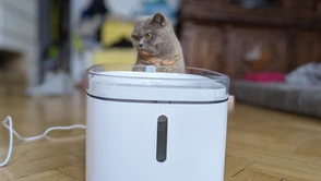 Twój kot kupowałby Xiaomi Smart Pet Fountain. Chyba że nie