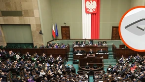 Sejm stara się o nagrodę od YouTube. Jaka jest szansa na srebrny przycisk?