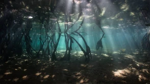 Tajemnica na dnie oceanu. Zmienia wyobrażenie o początkach Ziemi