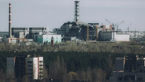 Czarnobyl cały czas zaskakuje naukowców. Co znaleziono tam tym razem?