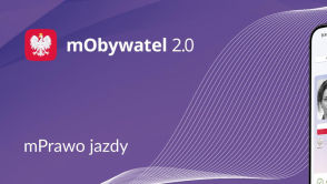 Firmy łatwiej sprawdzą uprawnienia kierowcy. Ministerstwo zapowiada zmiany