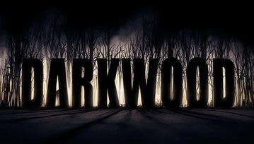 Twórcy "Darkwood" o swojej grze i zbiórce na Indiegogo - "5% odwiedzających naszą stronę to Polacy"