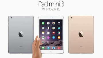 iPad mini nie ma przed sobą świetlanej przyszłości