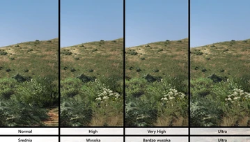 Jakie w zasadzie są różnice między poszczególnymi ustawieniami graficznymi w GTA V?