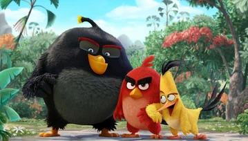 Recenzja Angry Birds. Da się zrobić fajny film na bazie mobilnej gry