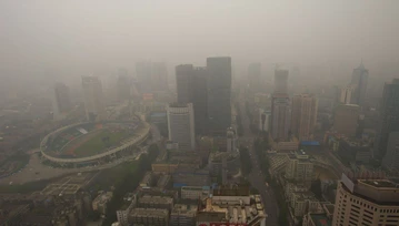 Smog jest na ulicach, ale i wdziera się do naszych domów. Co z tym zrobić?