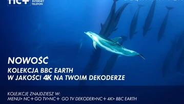 Najwyższa jakość na życzenie - nc+ startuje z kolekcjami 4K w nc+ GO TV