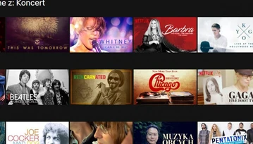 Czego mi brakuje na Netflix? To dziwne, że gigant jeszcze nie wszedł w ten biznes