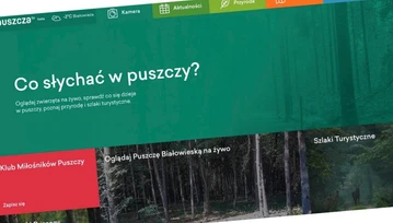 Skok na 7 milionów złotych? Sprawdzamy portal Puszcza.tv