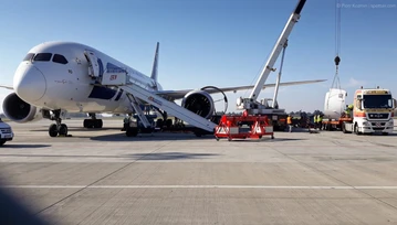 Dreamlinery znów uziemione. Czy do LOT-u zawitają Airbusy?