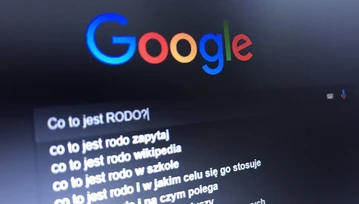 Co to jest RODO? Ile palców ma koń? Gdzie jest burza? Oto, o co pytali Polacy Google w 2018 roku