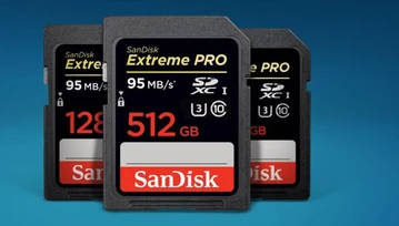 Popularna karta SD w świetnej cenie. SanDisk Extreme PRO SDXC 256 GB za 266 zł