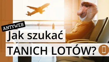 Najlepsze aplikacje do wyszukiwania tanich lotów