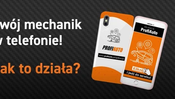 ProfiAuto - naprawa czy przegląd samochodu u mechanika bez wychodzenia z domu