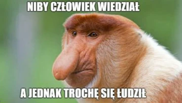 Nosacz sundajski jako stereotypowy Polak + najlepsze aplikacje do memów