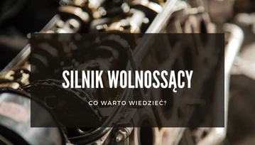 Silnik wolnossący - jak działa i co go wyróżnia?