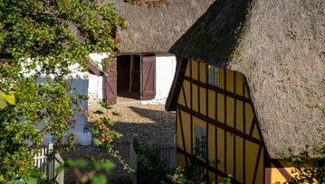 Skansen w e-urzędzie. Witryna rządowa działa tylko na Internet Explorerze