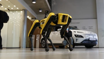 Widzieliśmy robota Boston Dynamics Spot w salonie Hyundai Electrified