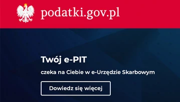 Podatki.gov.pl zaatakowane przez hakerów. Utrudnienia w działaniu serwisu