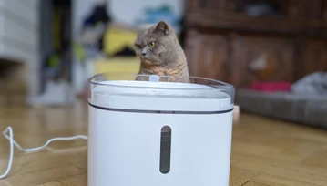 Twój kot kupowałby Xiaomi Smart Pet Fountain. Chyba że nie