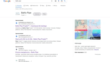 Drogie Google prośba o nie reklamowanie oszustów na stronie głównej