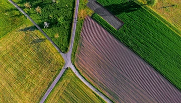 Mobilna ARiMR — rządowa aplikacja dla rolników. Co potrafi?