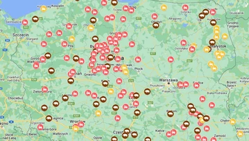 Jedziesz w Polskę, koniecznie sprawdź mapę strajków