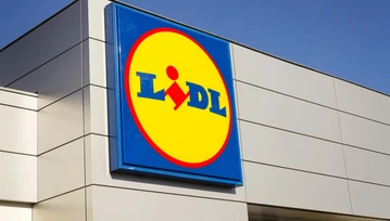 Lidl rozpieszcza majsterkowiczów. Masa narzędzi za ułamek ceny