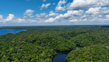 Zmiany klimatu są zbyt szybkie. Naukowcy przewidują, co stanie się z lasami