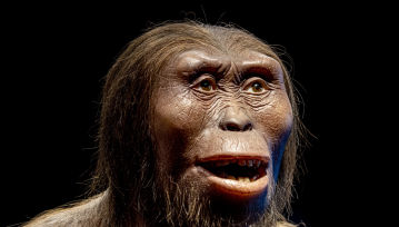 Podręczniki do wyrzucenia? Historia człowieka wygląda zupełnie inaczej