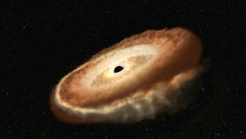 Astronomowie przyłapali czarną dziurę na przebudzeniu – spektakularny start