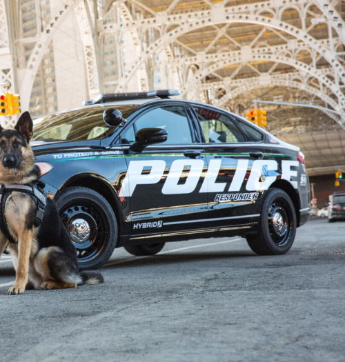Ford stworzył hybrydę dla policji. Ma być tanio, eko i... szybko