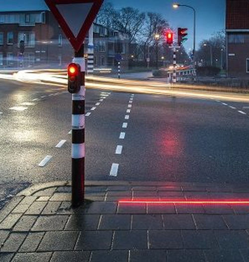 Oto jak Holendrzy rzucają kłody pod nogi Darwinowi