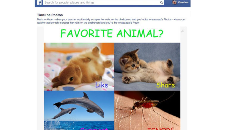 Facebook zamierza karać za żebranie o polubienia