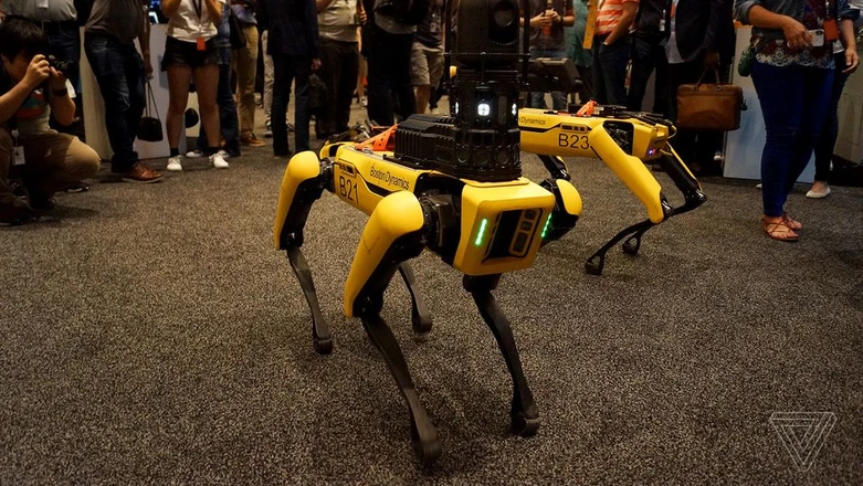 Robotyczne psy Boston Dynamics służą w Policji. Nie chciałbym na żadnego z nich trafić