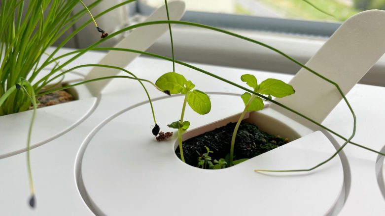 Postawiłem w domu inteligentny ogród Smart Garden i patrzę jak rosną mi poziomki