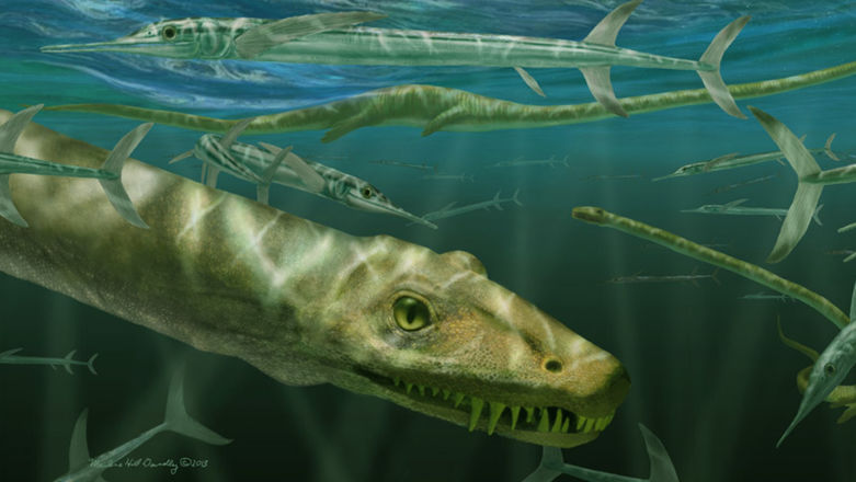 Paleontolodzy znaleźli szkielet "smoka" sprzed 240 milionów lat! Oto, czym tak naprawdę był