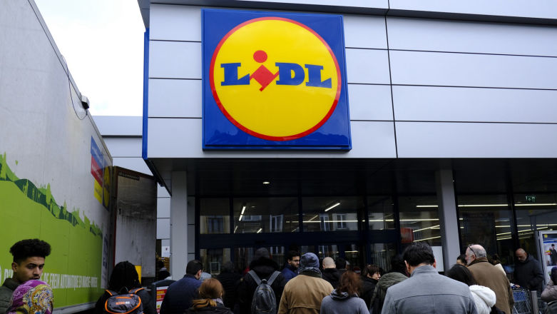Lidl zadba o twój ogród. Przydatny sprzęt za grosze