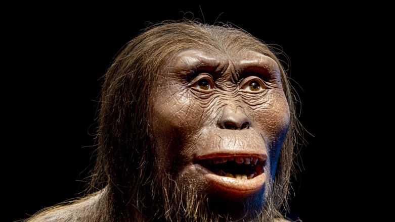 Podręczniki do wyrzucenia? Historia człowieka wygląda zupełnie inaczej