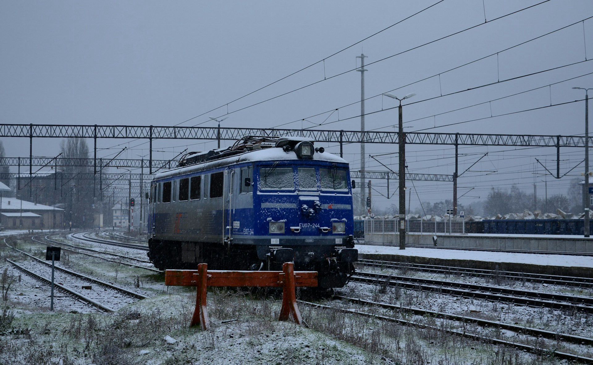 Legitymacja Ulgowych Usług Transportowych w aplikacji mObywatel: Jak ją dodać?