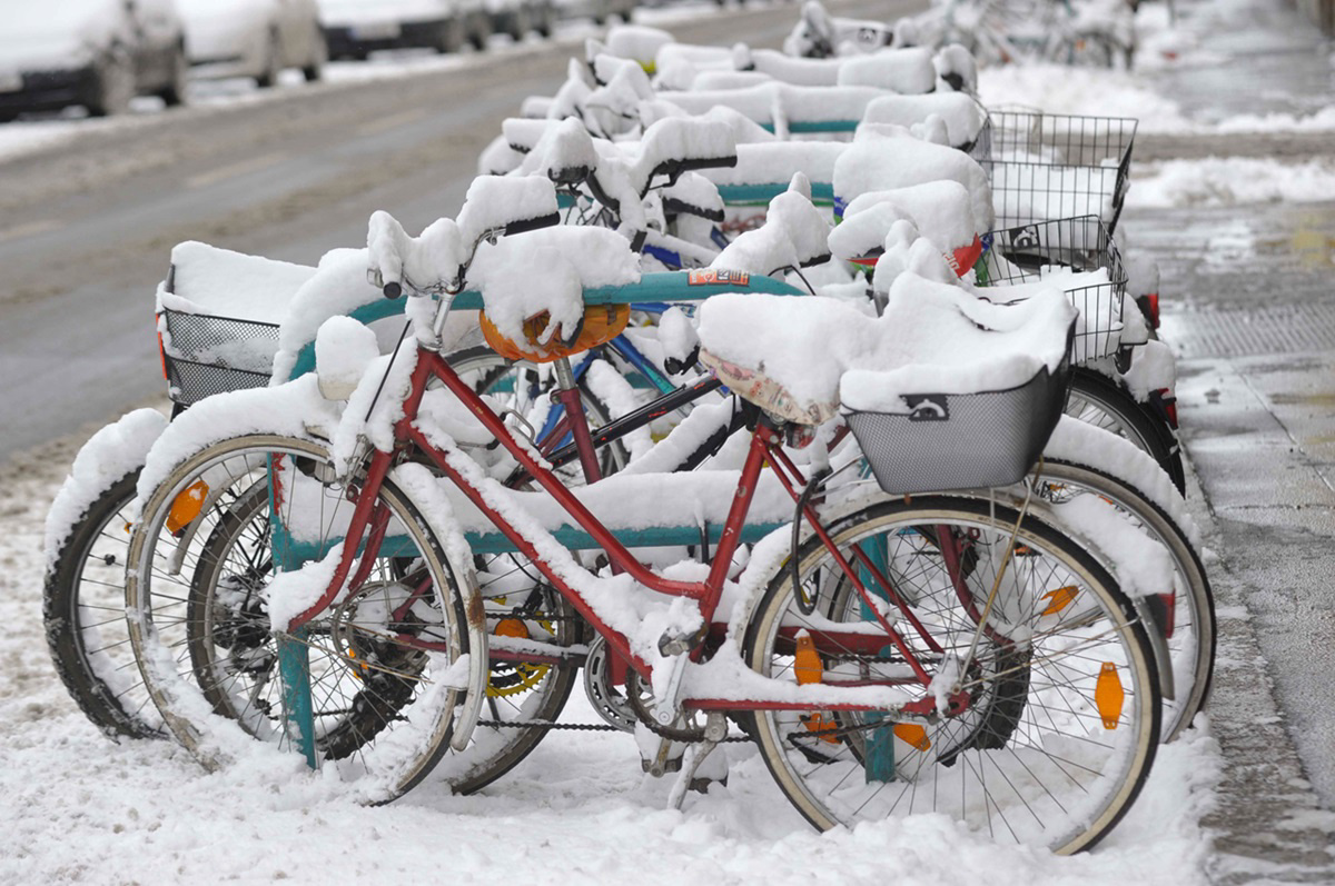 Polscy naukowcy biorą się za rowerzystów. Chcą wyjaśnić jedną kwestię