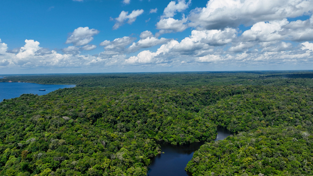 Zmiany klimatu są zbyt szybkie. Naukowcy przewidują, co stanie się z lasami