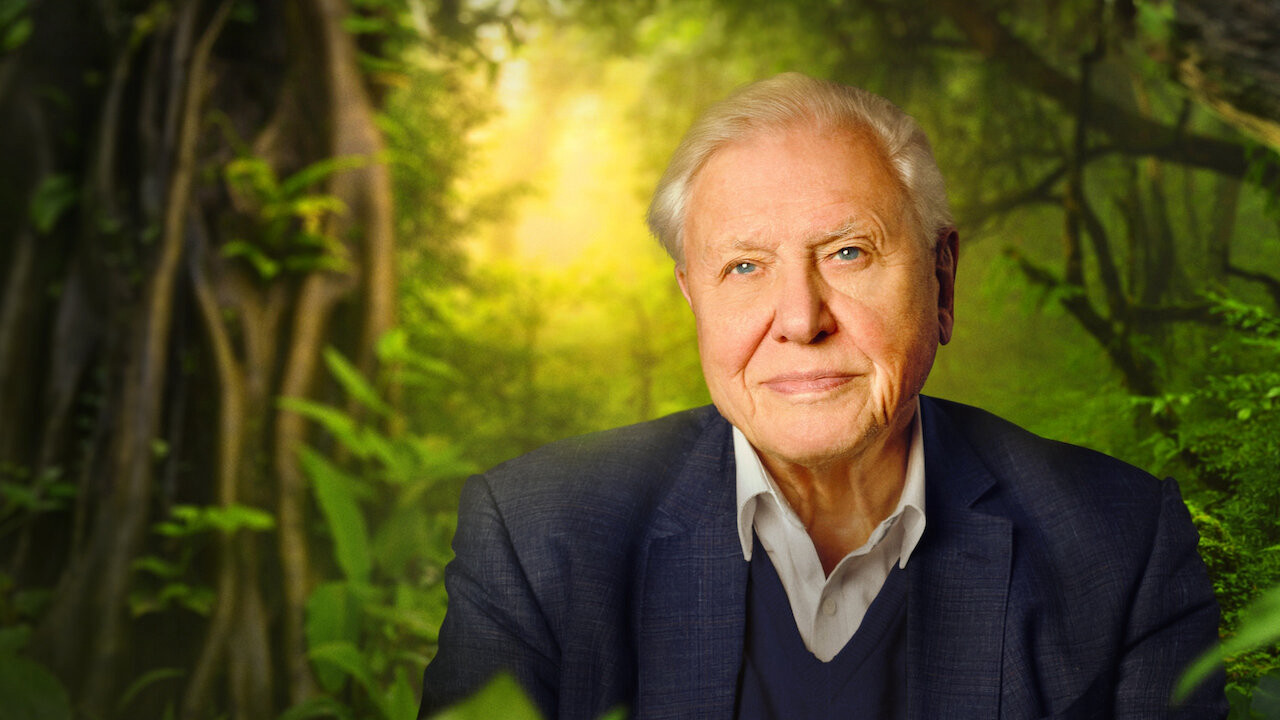 David Attenborough kończy 100 lat. Tu obejrzysz jego arcydzieła