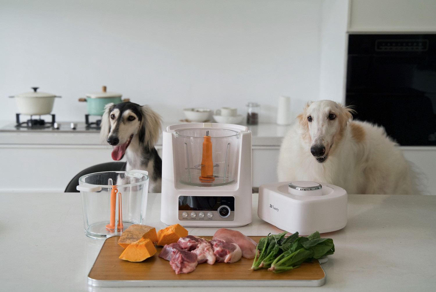 Tego jeszcze nie grali. Thermomix dla psów i kotów