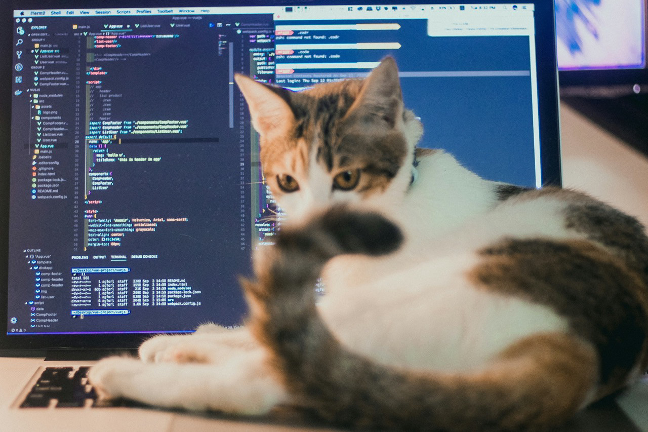 Vibe Coding with AI: Can Anyone Really Become a Programmer?
