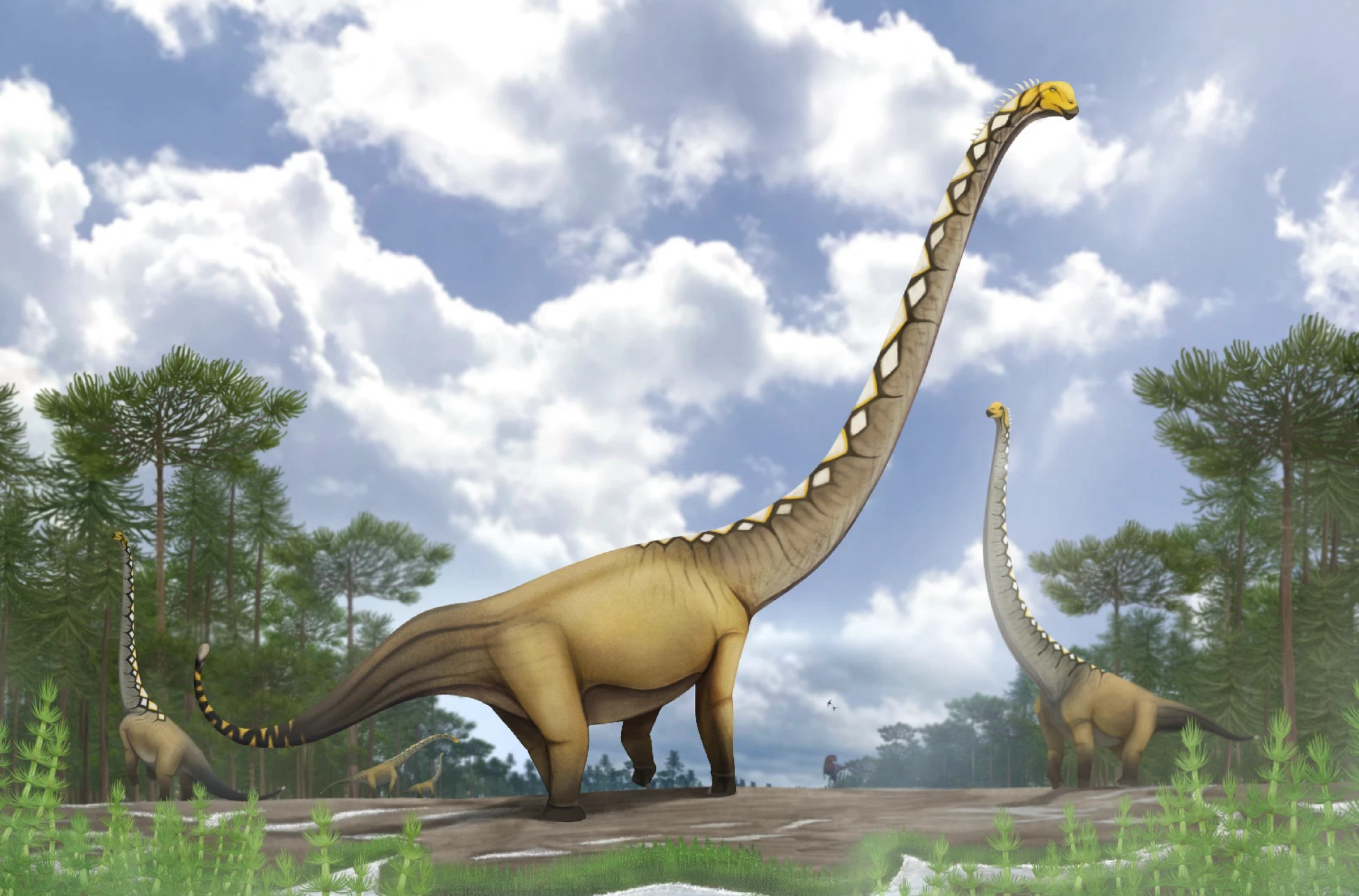 Nowy gatunek dinozaura odkryty w Tajlandii — Uragasaurus kalasinensis z jednego kręgu