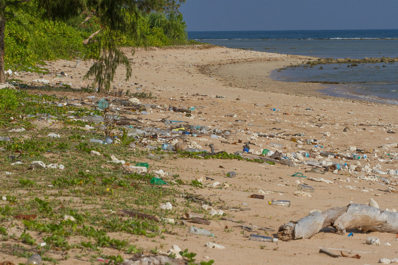 Przełom: plastik niemal całkowicie zniknął